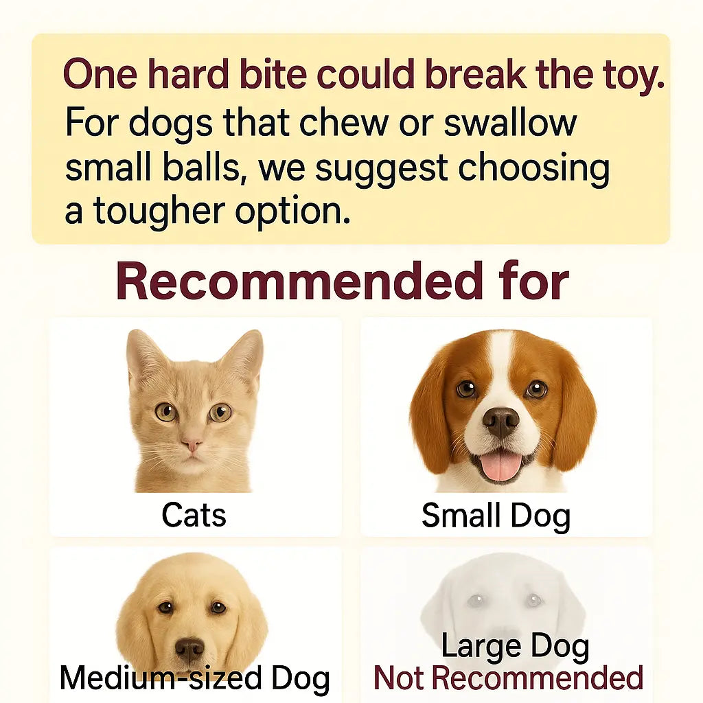 Interactive Cat & Dog Teaser Toy with Two Additional Tails, Kitten Rolling Ball Toy, Pet Supplies, Dog & Cat Accessories Cute dog toys
