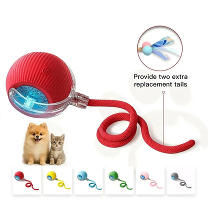 Interactive Cat & Dog Teaser Toy with Two Additional Tails, Kitten Rolling Ball Toy, Pet Supplies, Dog & Cat Accessories Cute dog toys