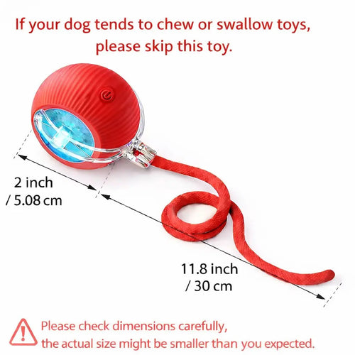 Interactive Cat & Dog Teaser Toy with Two Additional Tails, Kitten Rolling Ball Toy, Pet Supplies, Dog & Cat Accessories Cute dog toys