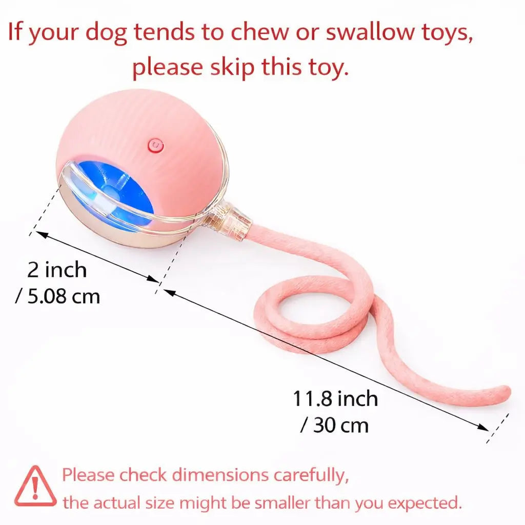 Interactive Cat & Dog Teaser Toy with Two Additional Tails, Kitten Rolling Ball Toy, Pet Supplies, Dog & Cat Accessories Cute dog toys