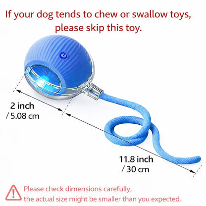 Interactive Cat & Dog Teaser Toy with Two Additional Tails, Kitten Rolling Ball Toy, Pet Supplies, Dog & Cat Accessories Cute dog toys